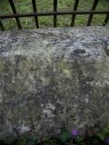 image of grave number 144716